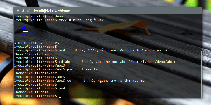 Linux - Đường dẫn tuyệt đối và đường dẫn tương đối